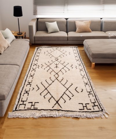 a living room with a couch and a rug. modern-0959