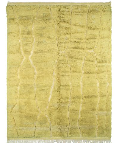 a yellow rug with fringes. JAN07_GR-14_W-40_01.1