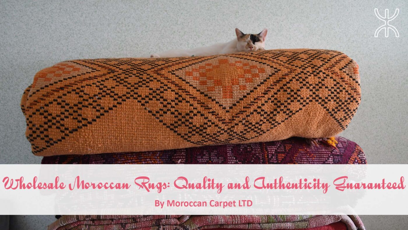 a cat sitting on top of a pile of pillows. Wholesale Moroccan Rugs Quality and Authenticity Guaranteed 01