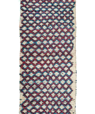 a red and blue rug with fringes. AZL-014_W-40_176-080 (1)