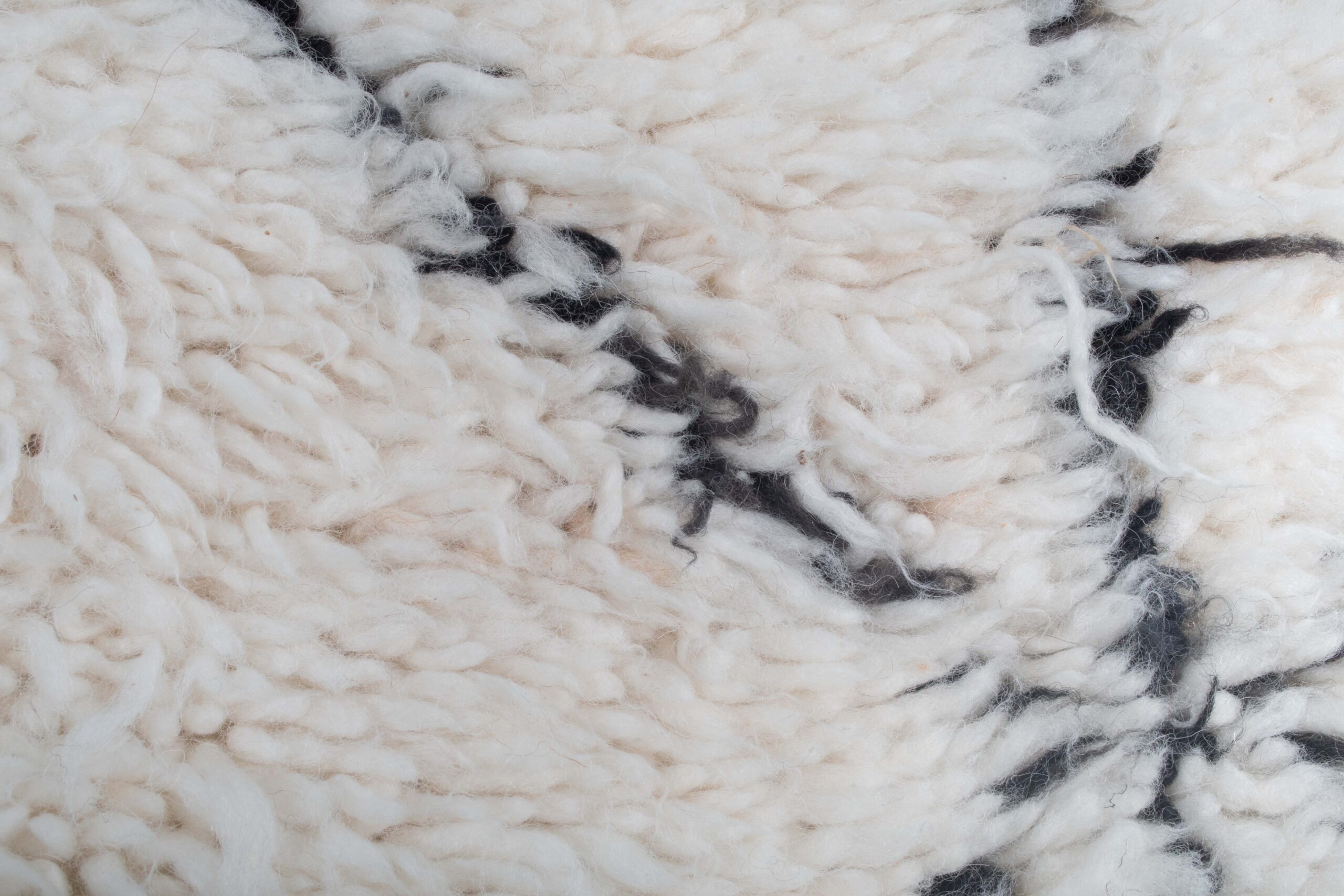 a close up of a sheep ' s wool. BNO-005_W-40_BK_118-076 (5)