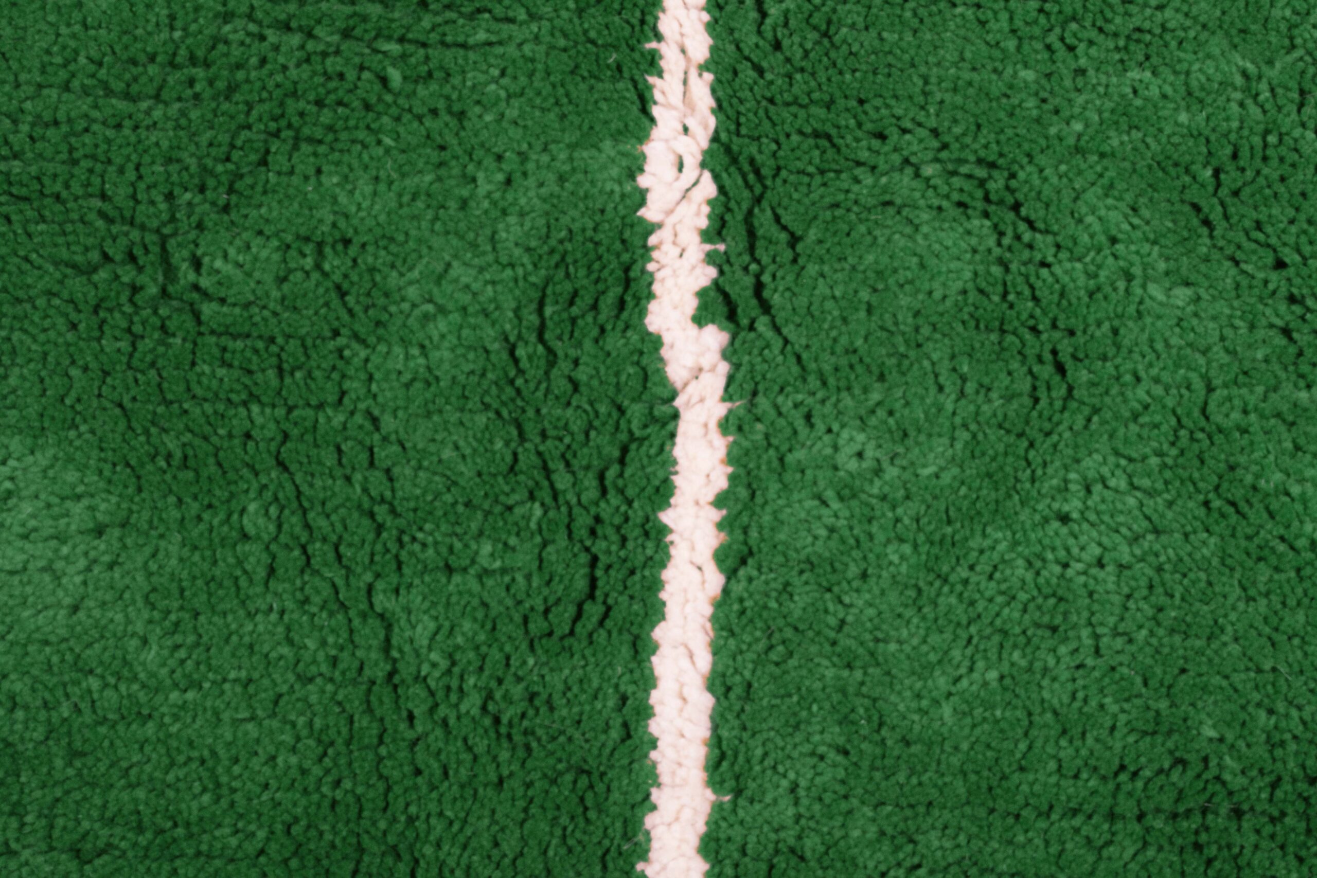 a green rug with a white stripe. VIN0183_GR-10_W-40 (5)