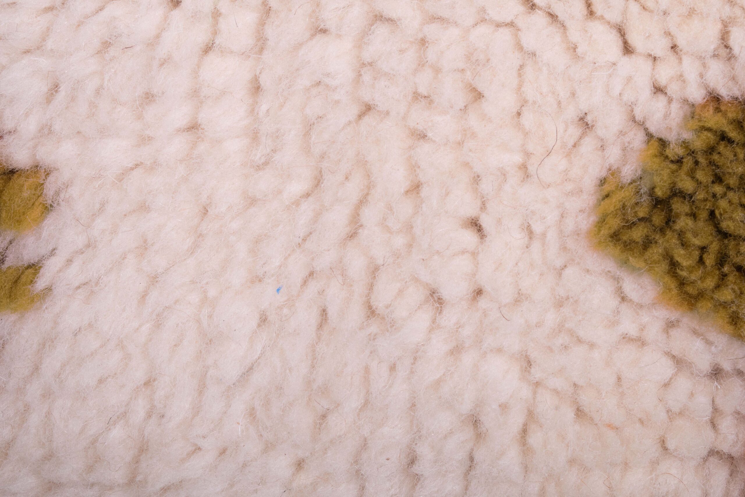 a close up of a sheep ' s wool. VIN21_BR-31_W-40 (7)