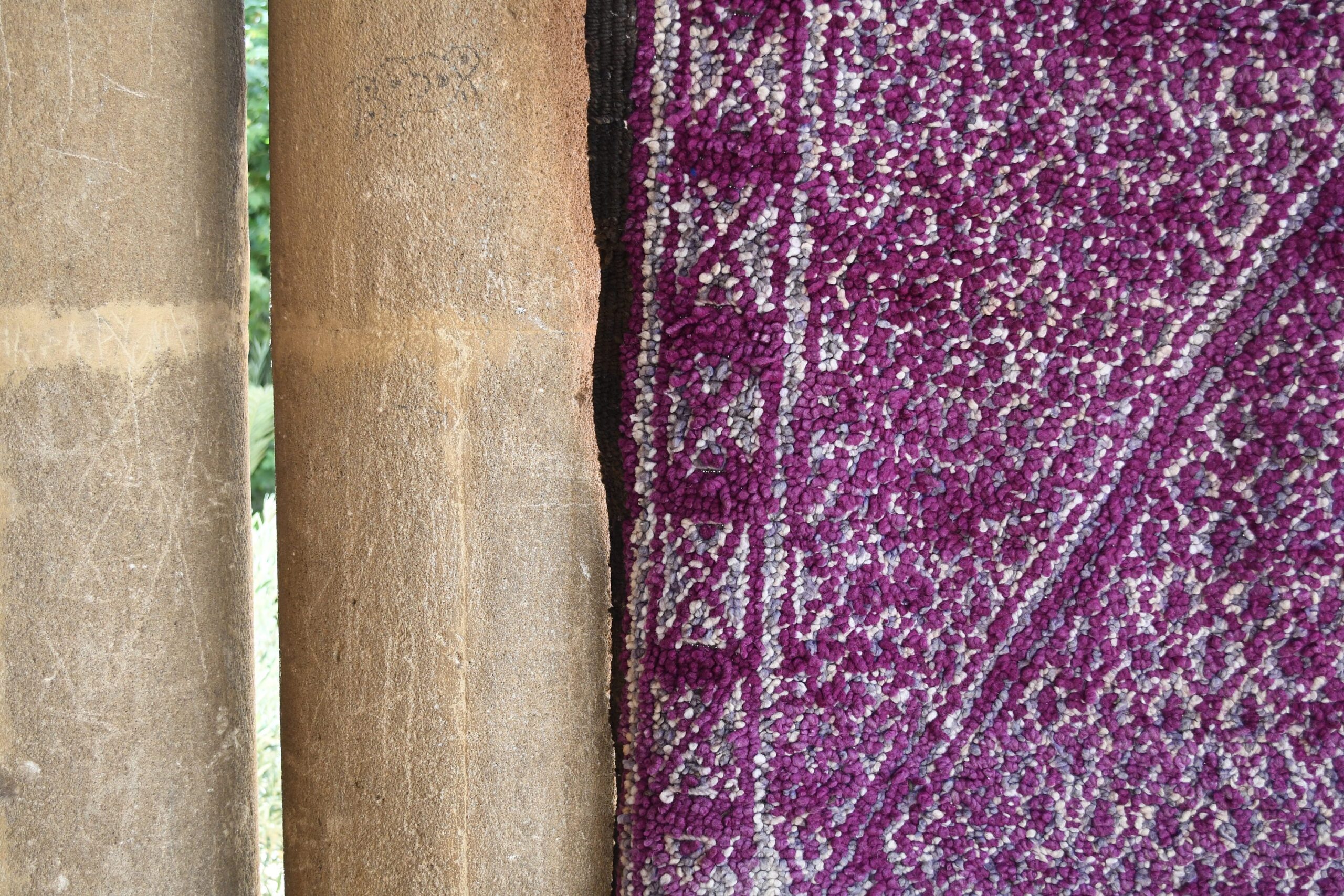 a cat is sitting on a purple rug. il_fullxfull.6017190332_ke6z.jpg