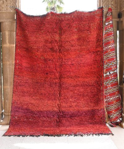 a red rug is on the floor. il_fullxfull.6017469076_l9o2.jpg