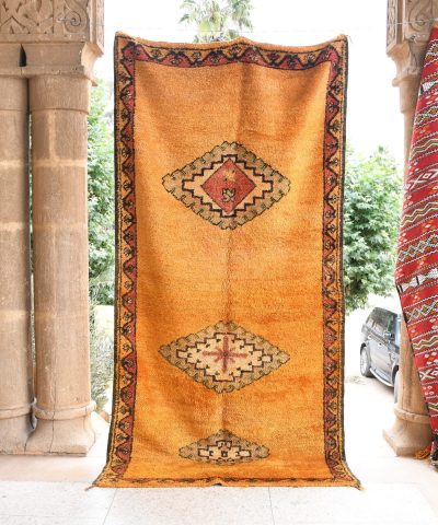 a large oriental rug. il_fullxfull.6017483468_5pa4.jpg