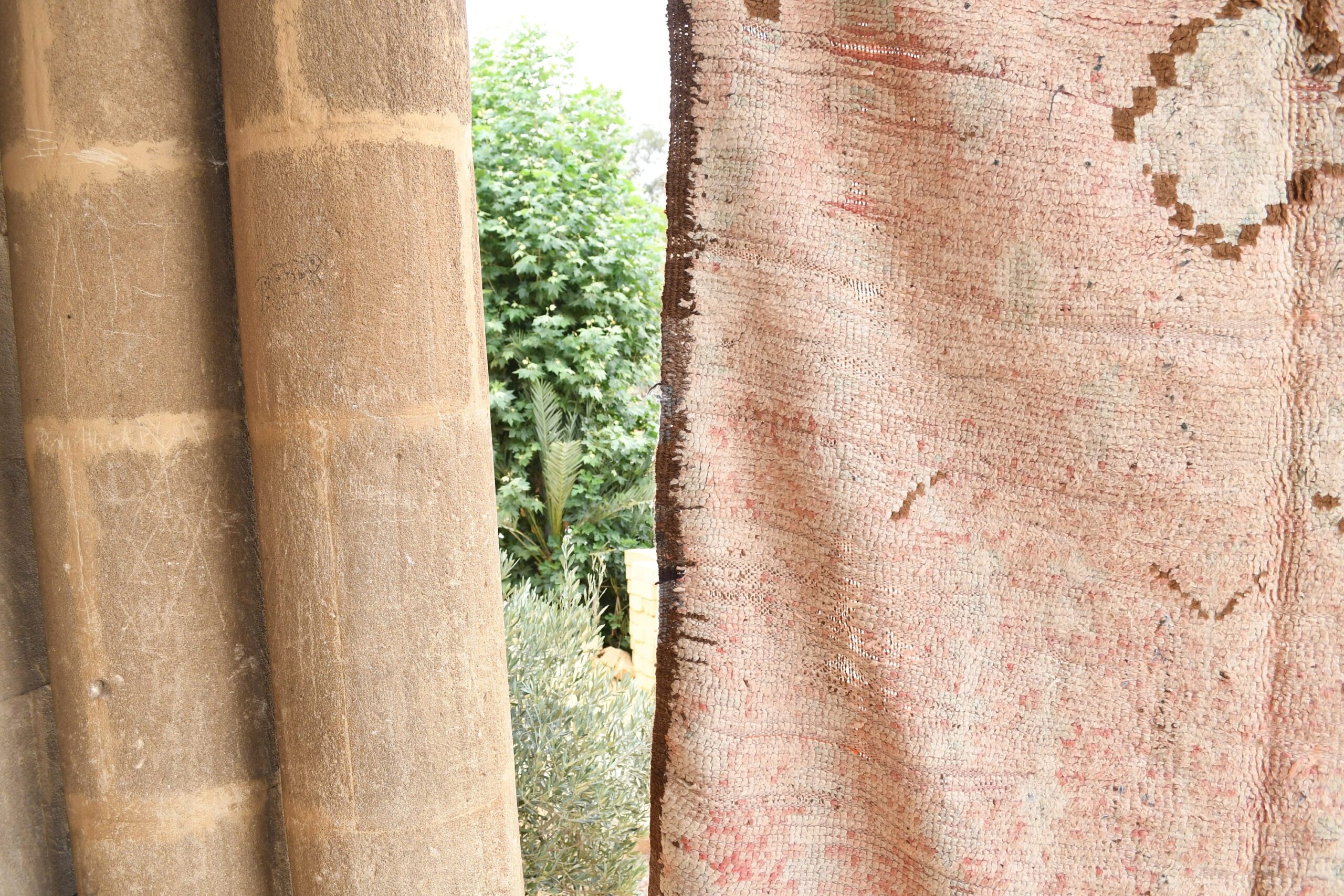 a cat is sitting on a piece of cloth. il_fullxfull.6017489940_olyg.jpg