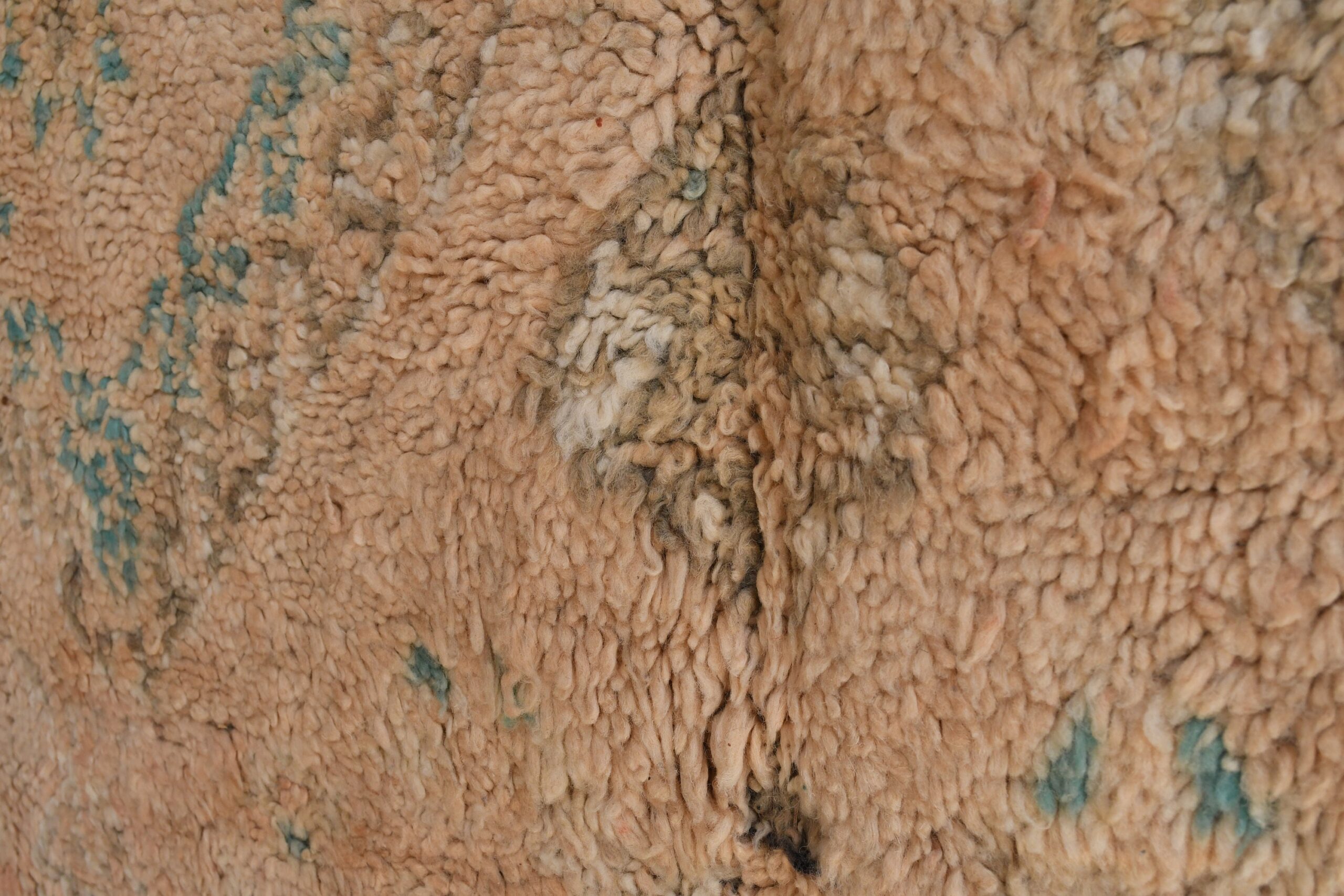 a sheep with a green patch on its back. il_fullxfull.6025866724_fg2d.jpg