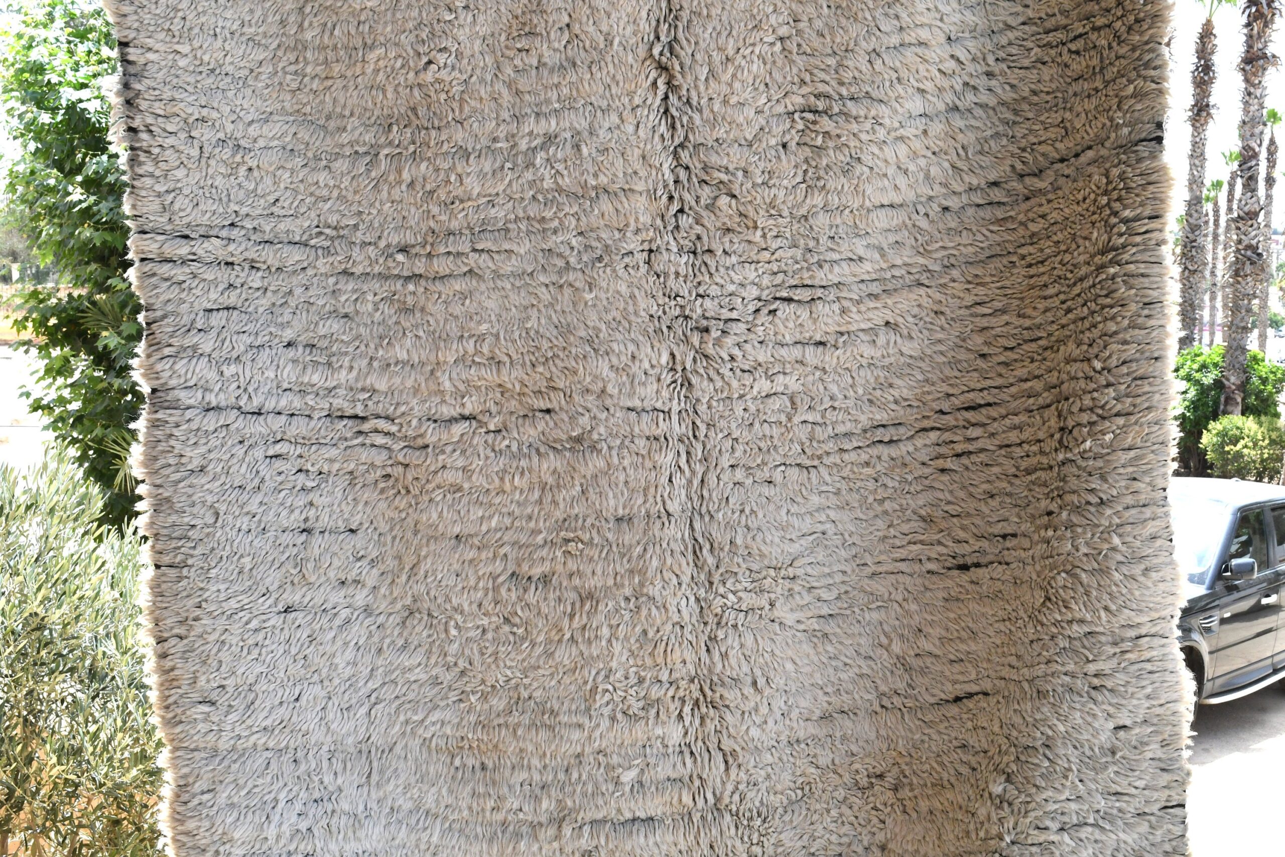 a large furry animal standing next to a car. il_fullxfull.6028126516_oqkk.jpg