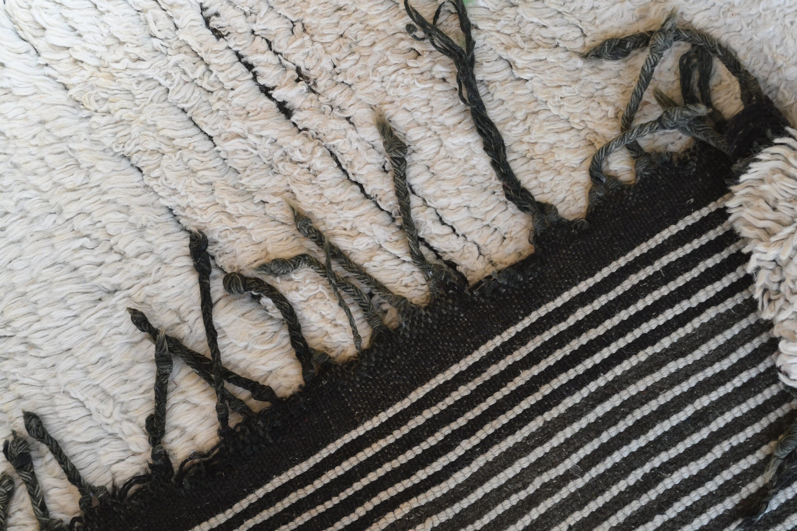 a sheep with a black stripe. il_fullxfull.6028126848_m4cs.jpg