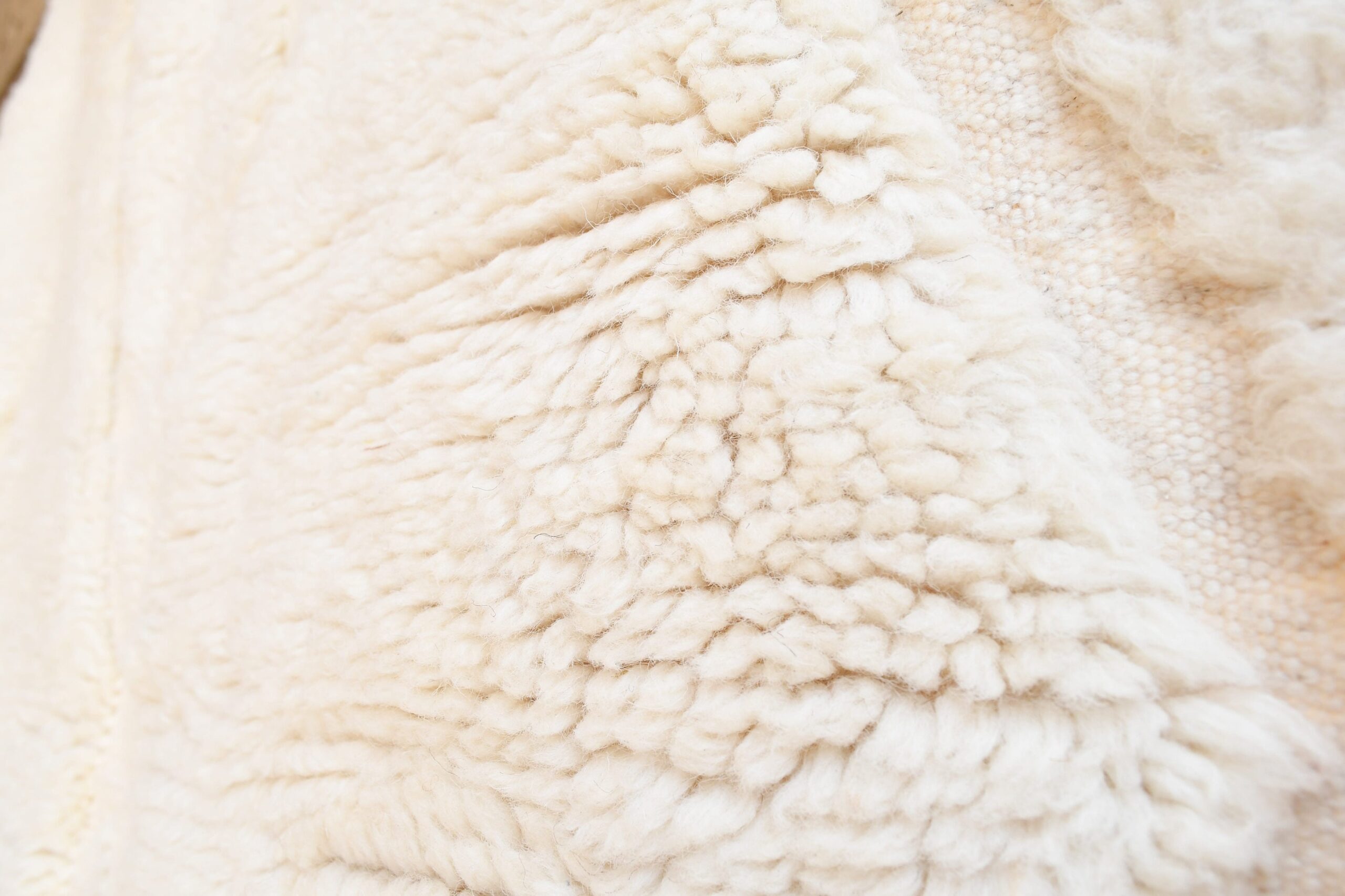 a close up of a sheep ' s wool. il_fullxfull.6035074674_sym2.jpg