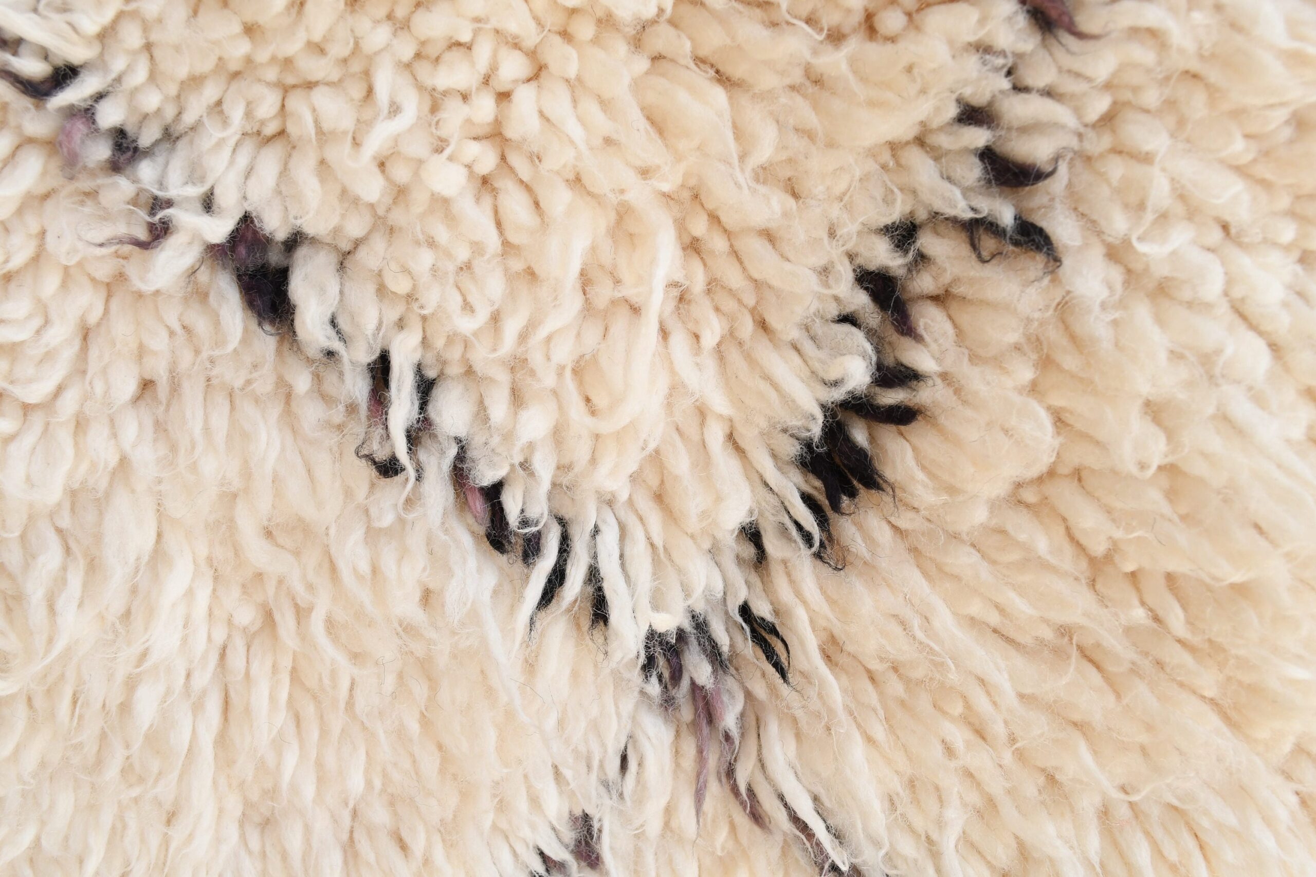 a close up of a sheep ' s wool. il_fullxfull.6035083320_2rhd.jpg
