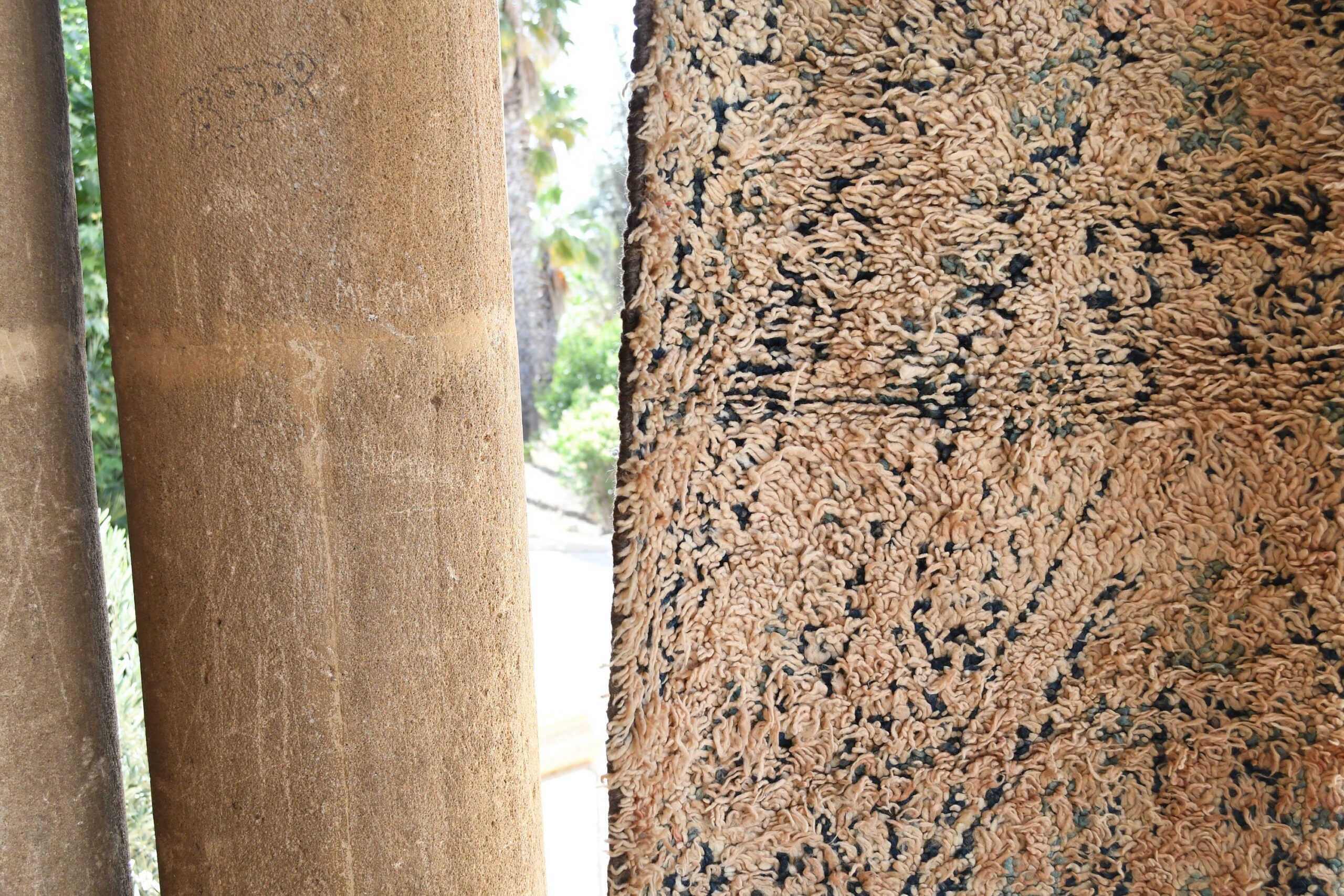 a close up of a tree trunk with a bunch of seeds. il_fullxfull.6065248039_gv1p.jpg