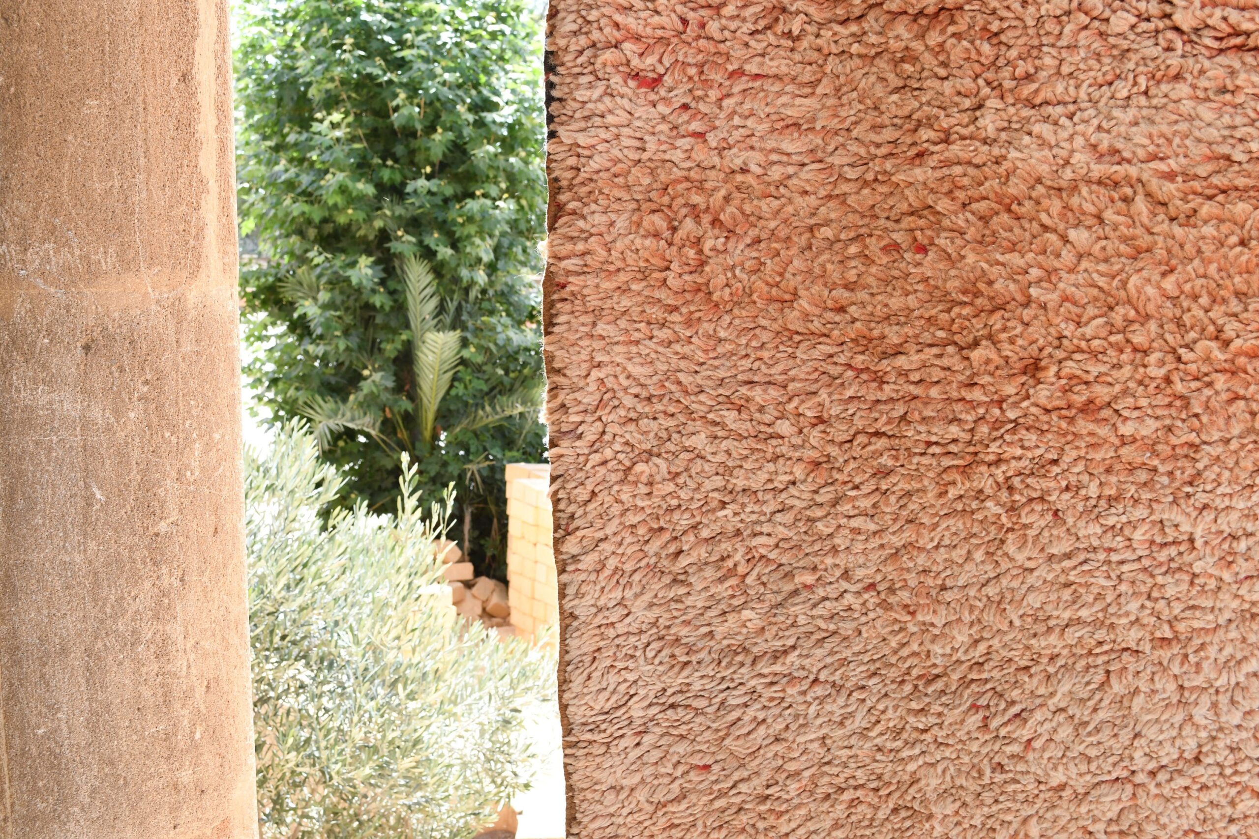 a cat sitting on a wall with a tree in the background. il_fullxfull.6065261243_co5u.jpg