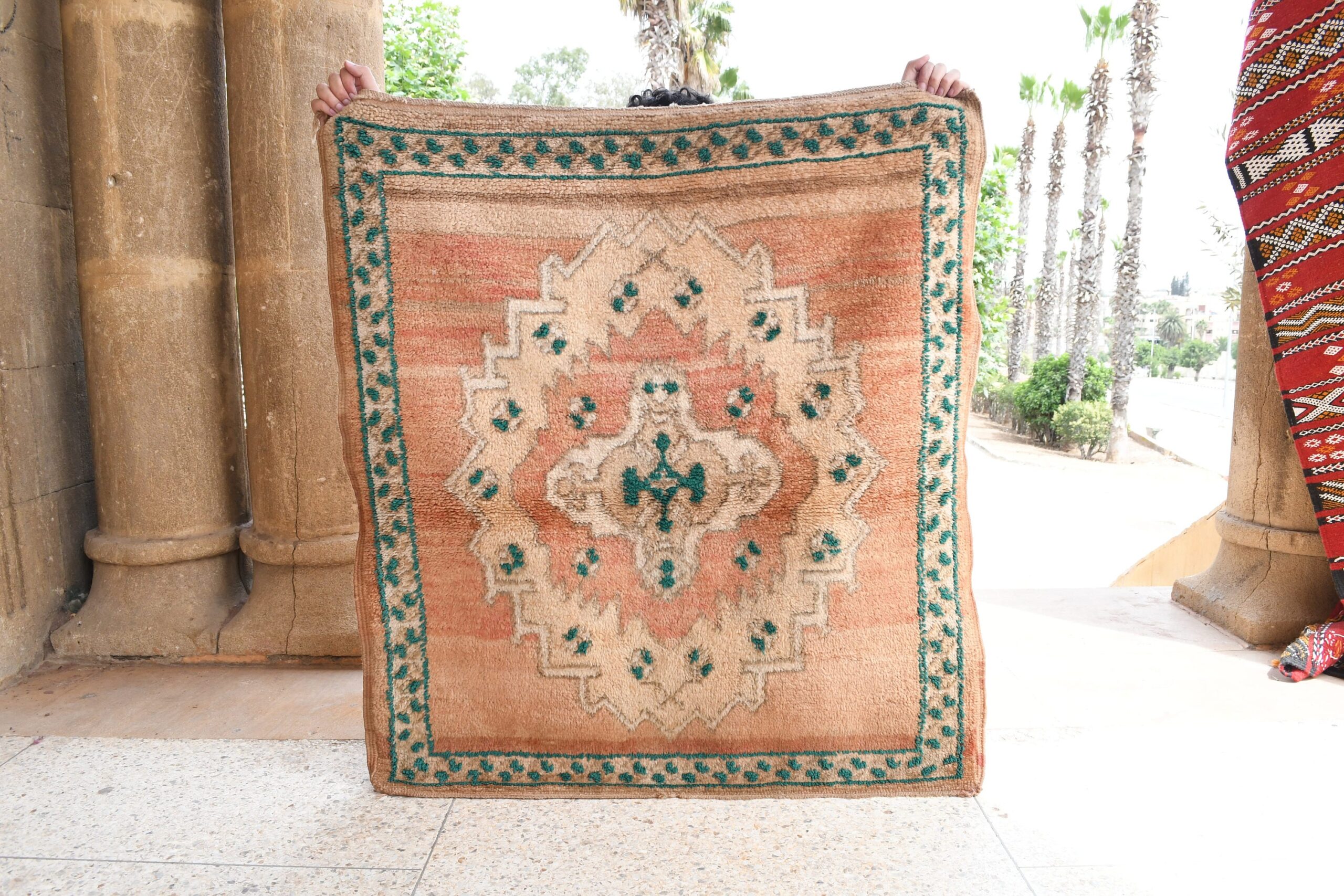 a woman holding a rug in front of a building. il_fullxfull.6065579403_fcjv.jpg