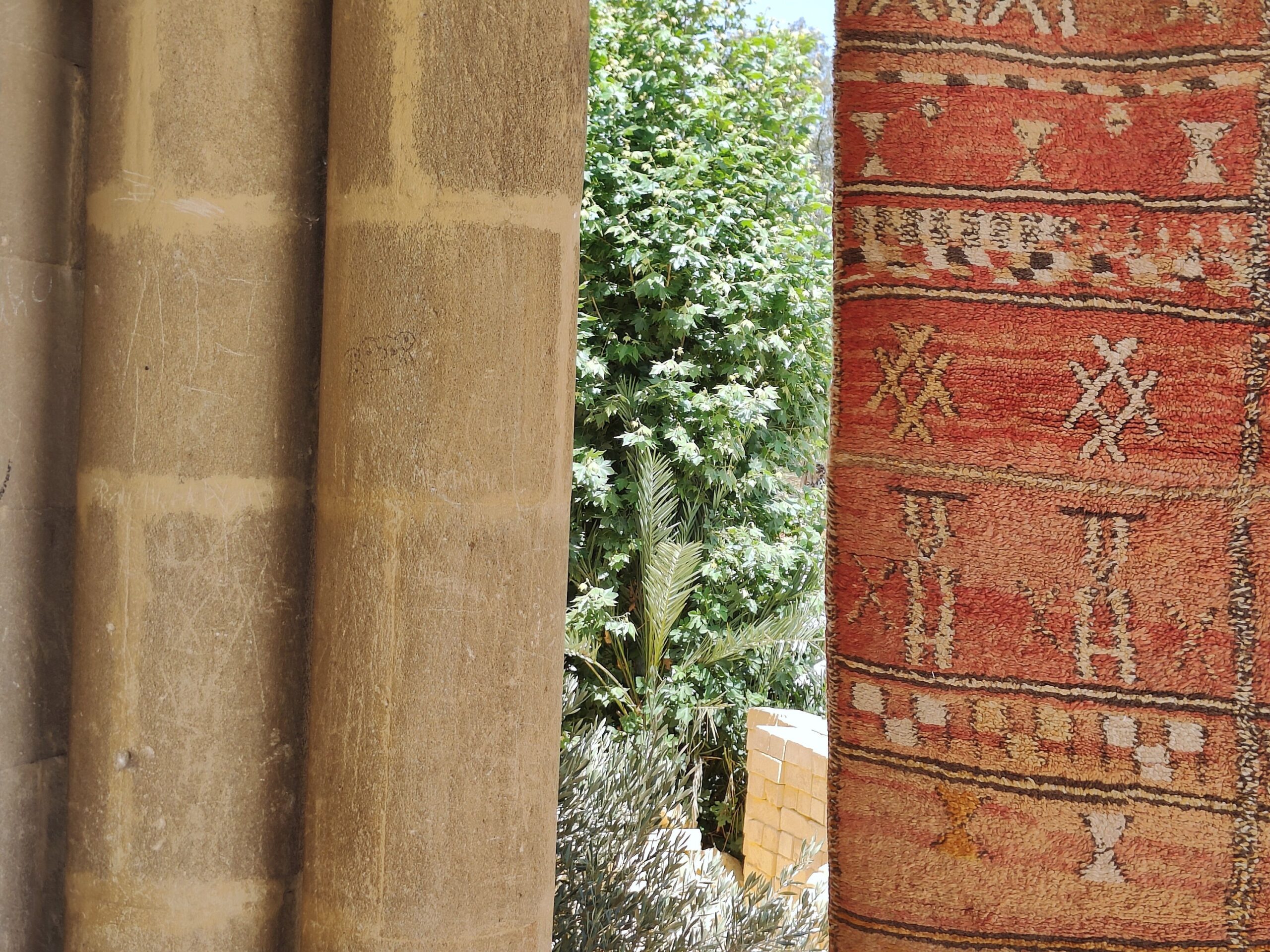 a cat sitting on a rug in a room. il_fullxfull.6071178531_p1s8.jpg