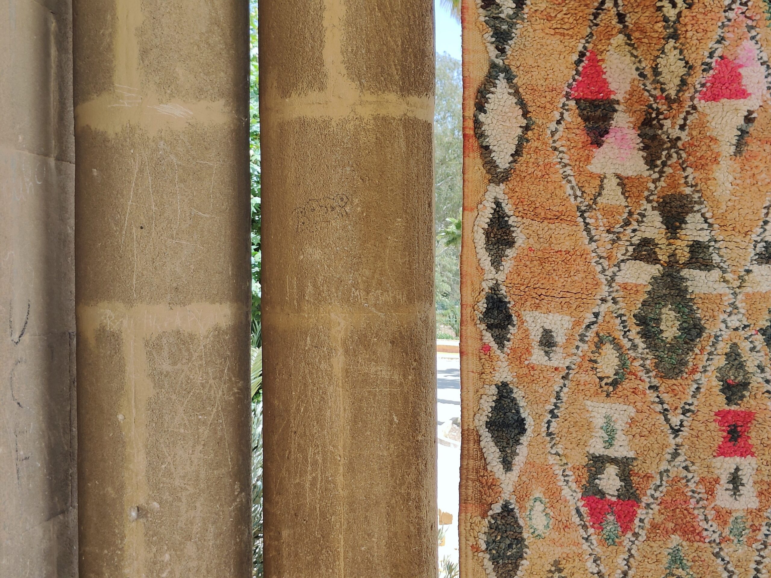 a cat sitting on a rug in a room. il_fullxfull.6071183045_omjv.jpg