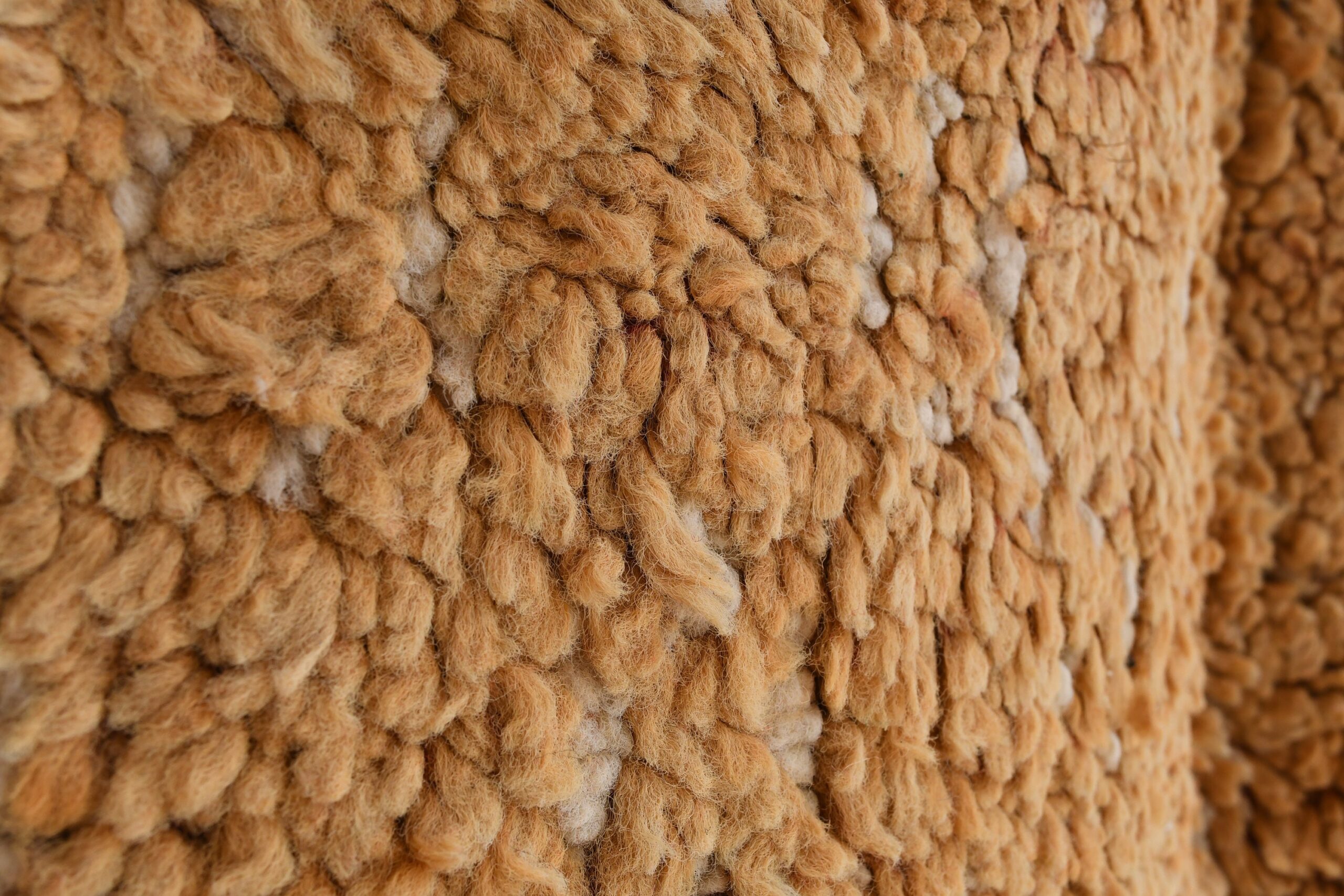 a close up of a sheep ' s wool. il_fullxfull.6073959597_anky.jpg