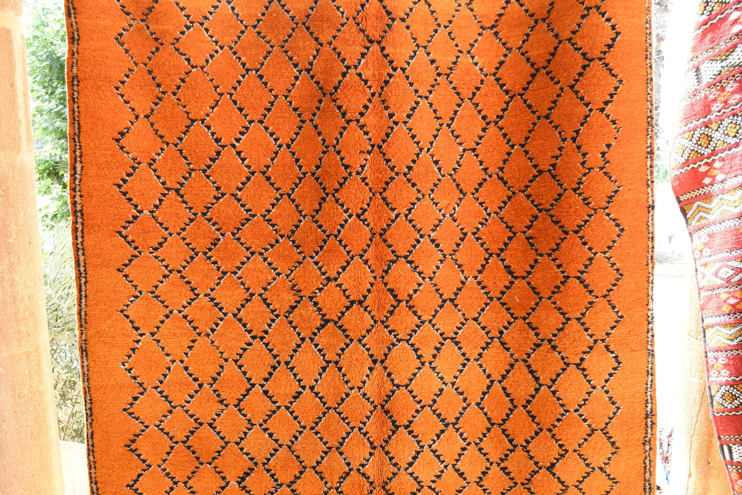 a large orange rug. il_fullxfull.6076128101_im66.jpg