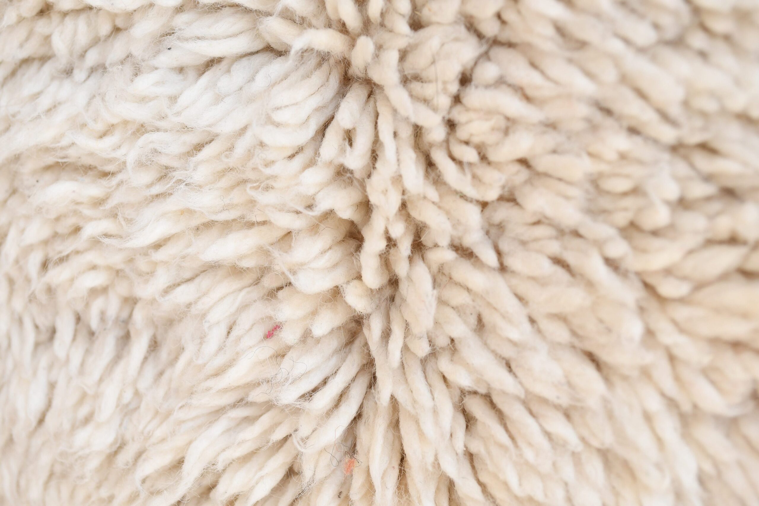a close up of a sheep ' s wool. il_fullxfull.6083123345_efvh.jpg