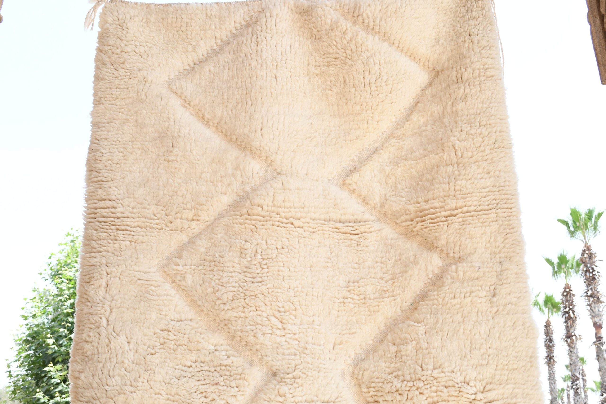 a large tan colored rug. il_fullxfull.6083144633_lekz.jpg